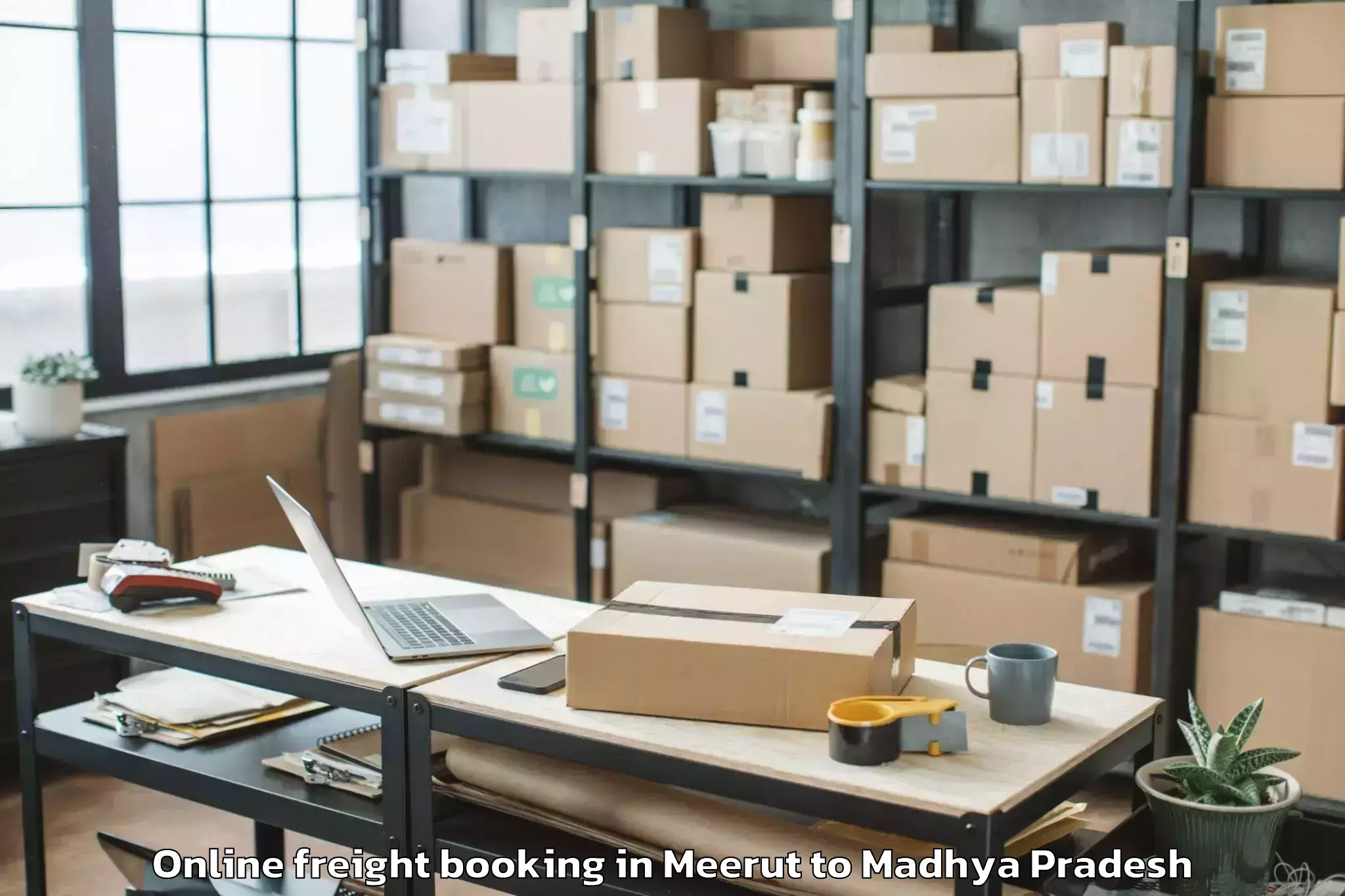 Expert Meerut to Pichhore Online Freight Booking